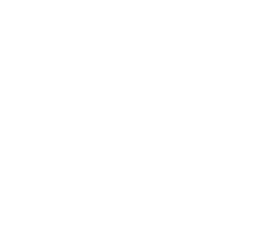 icon_eheringe_white-1
