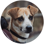 wilma_web_kreisrund