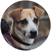 wilma_web_kreisrund
