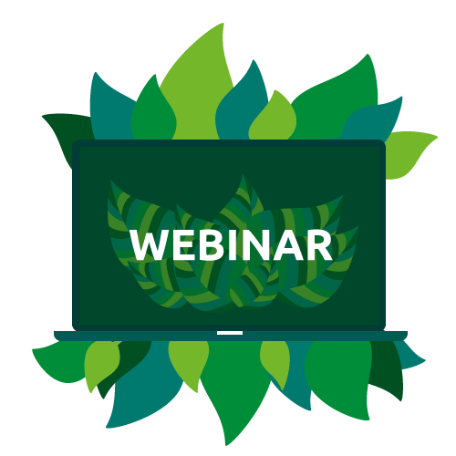 Grafik_Webinar_ohnedatum