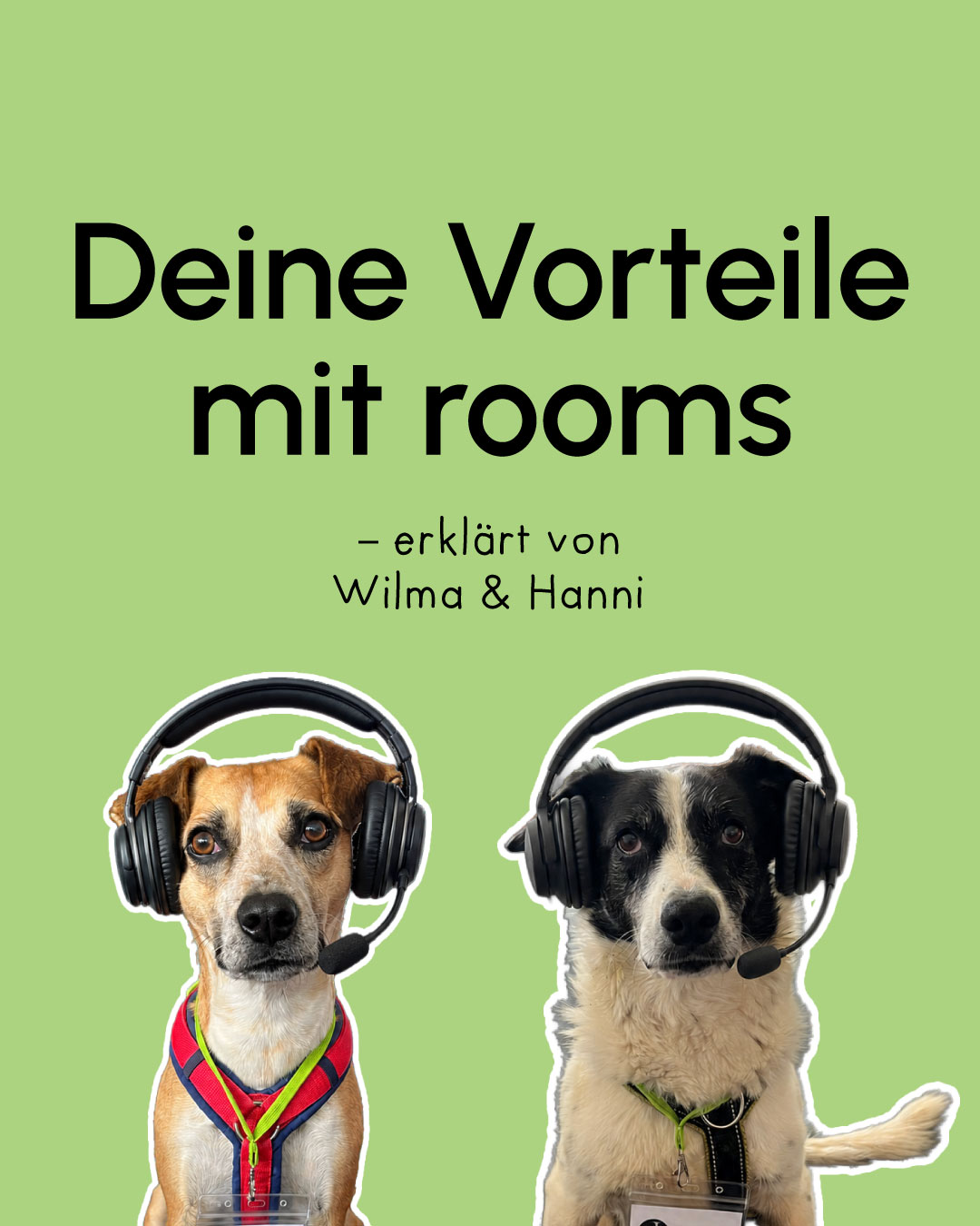 KW34_rooms_02 KW34_rooms_02